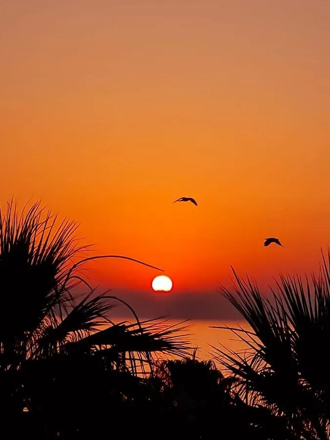 Alex Beach Apartment 33 Larnaca